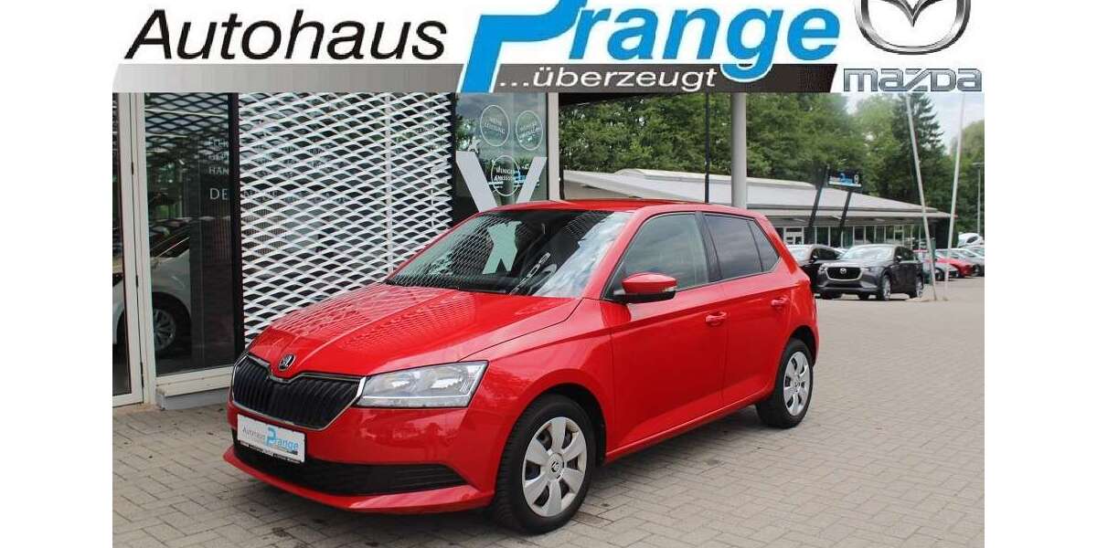 Skoda Fabia 91.019 km 9.885 &euro; Hilter-Hankenberge 49176