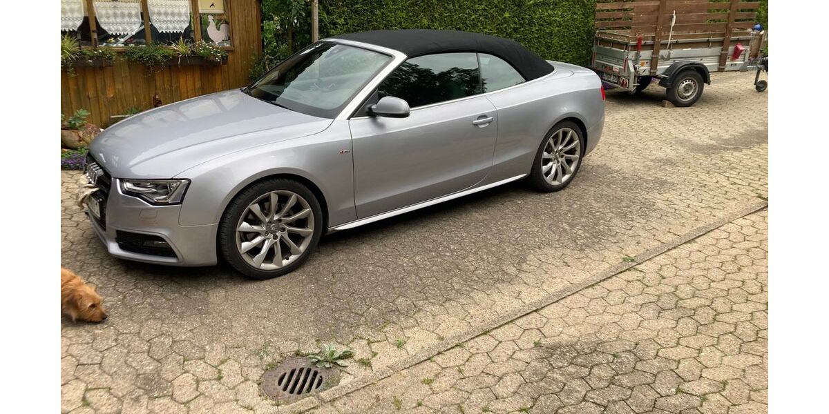 Audi A5 29.000 km 17.400 &euro; Lage 32791