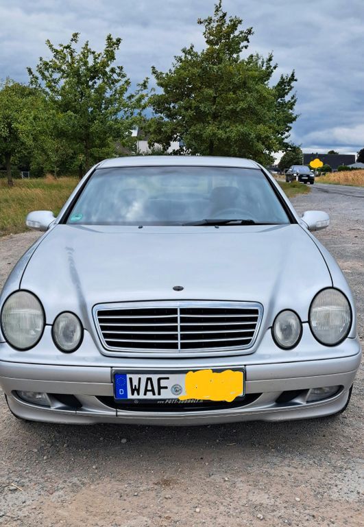 CLK 230