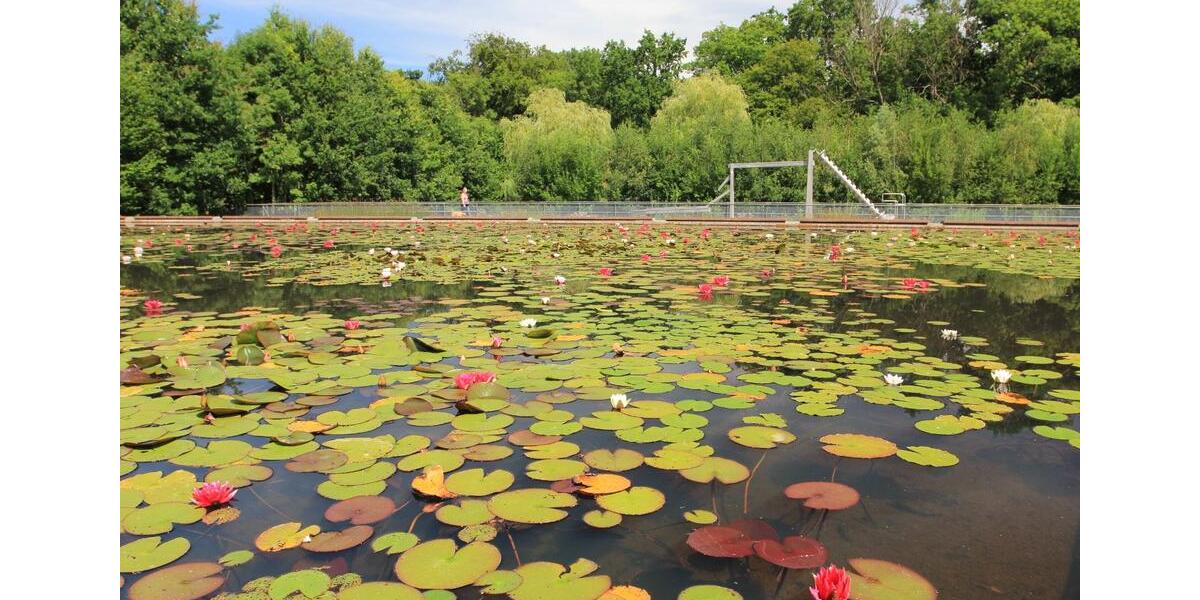 Erdgeschoßwohnung Löhne - 2 Zimmer, 61 m&sup2;, 189.100&euro; | Angebot:25823755