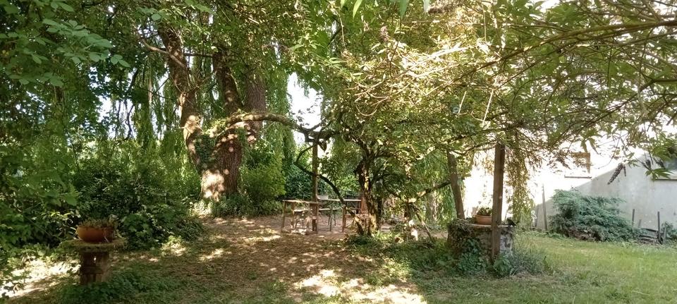 Erdgeschoßwohnung Bielefeld Jöllenbeck - 1 Zimmer, 17 m&sup2;, 345&euro; | Angebot:26111296
