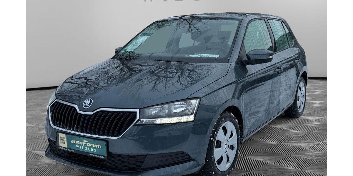 Skoda Fabia 41.999 km 12.881 &euro; Herford 32051