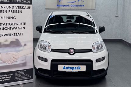 Fiat Panda 92.000 km 7.999 &euro; Gütersloh 33332