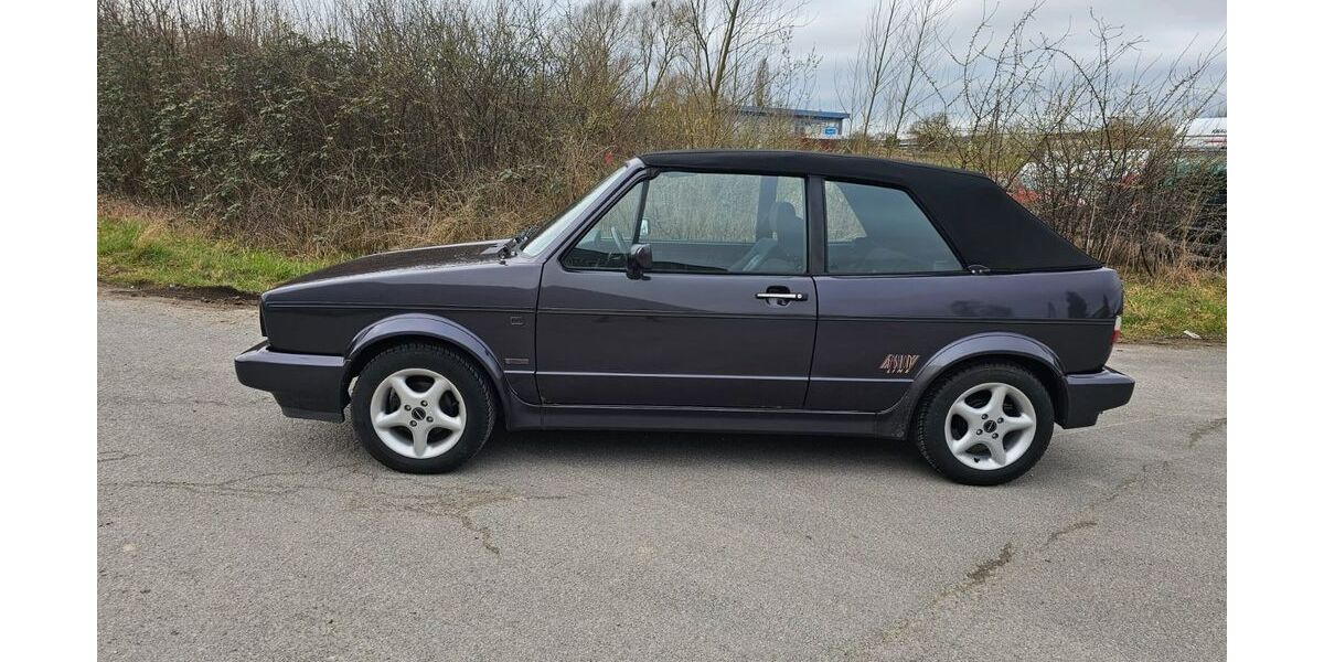 VW Golf 200.216 km 10.500 &euro; Spenge 32139