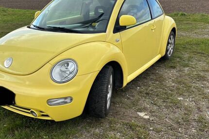 VW Beetle 266.110 km 850 € Bad Salzuflen 32108