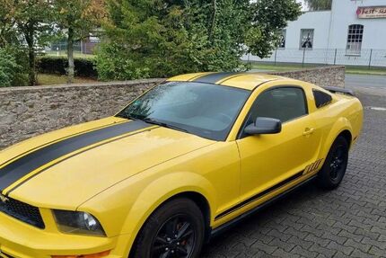 Ford Mustang 114.612 km 11.000 &euro; Lage 32791