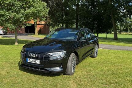 Audi e-tron 150.000 km 32.000 &euro; Borgholzhausen 33829