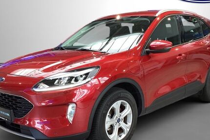 Ford Kuga 15.900 km 22.990 &euro; Schloß Holte-Stukenbrock 33758
