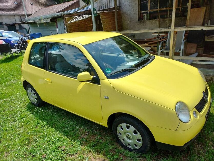 Lupo