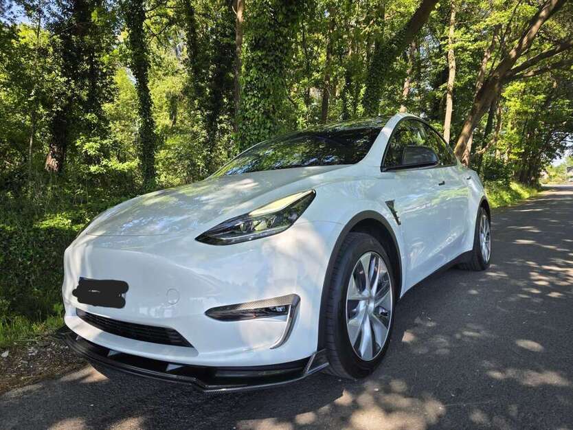 Model Y