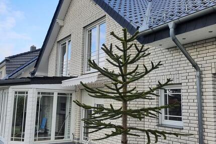 Ein bis Zweifamilienhaus zimmer