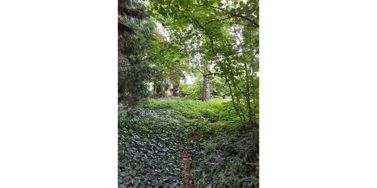 Einfamilienhaus Bad Salzuflen Ehrsen-Breden - 8 Zimmer, 124 m&sup2;, 285.000&euro; | Angebot:26718345