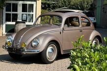 Gebrauchtwagen VW Käfer