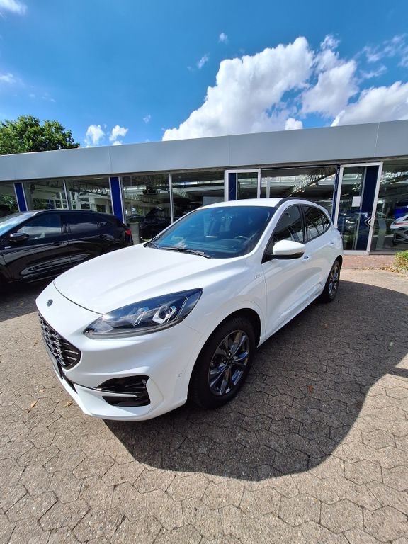 Kuga