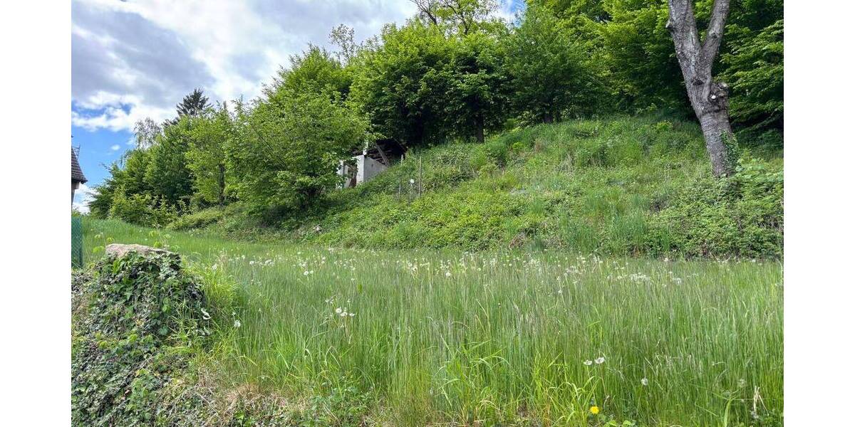 Grundstück Detmold / Berlebeck Berlebeck - 88.000&euro; | Angebot:26731540