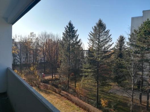 Geräumige Wohnung ! Garage ebenfalls anmietbar. zimmer